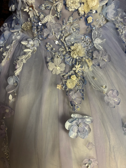 Gorgeous Off Shoulder A-Line Ombre Appliques Evening Gowns Birthday Ball Gowns, HZ0319