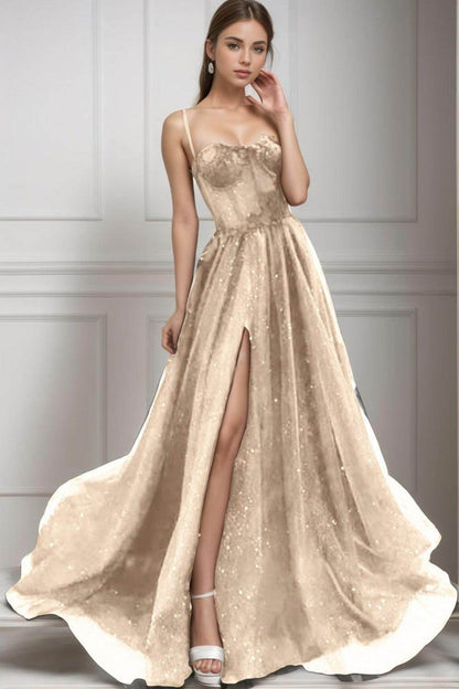 A-Line Sweep-Brush Train Tulle Prom Dress CS0439