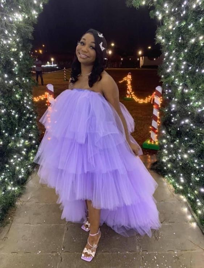 Purple A-line Tulle Party Dress,21th Birthday Dress cc1117