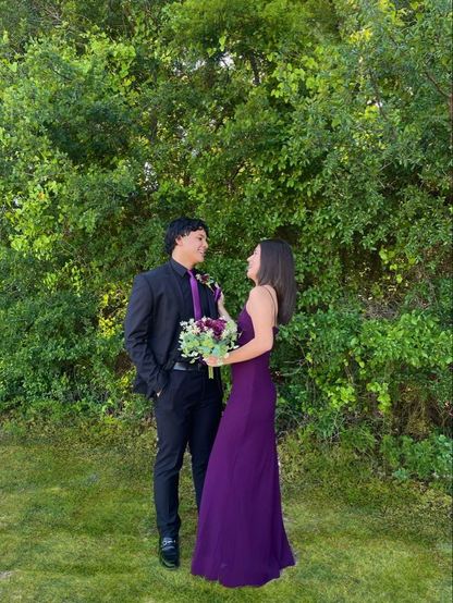 Spaghetti Straps V Neck Sheath Evening Dress Purple Party Dress cc2160