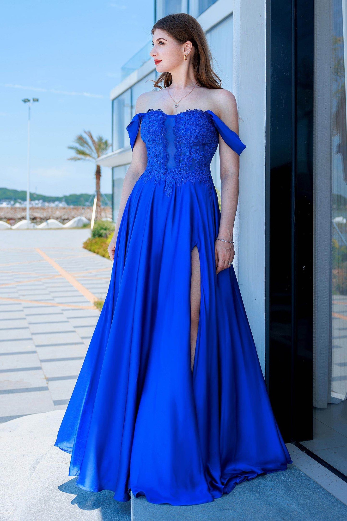 A-Line Floor Length Forged Chiffon Prom Dress CS0485