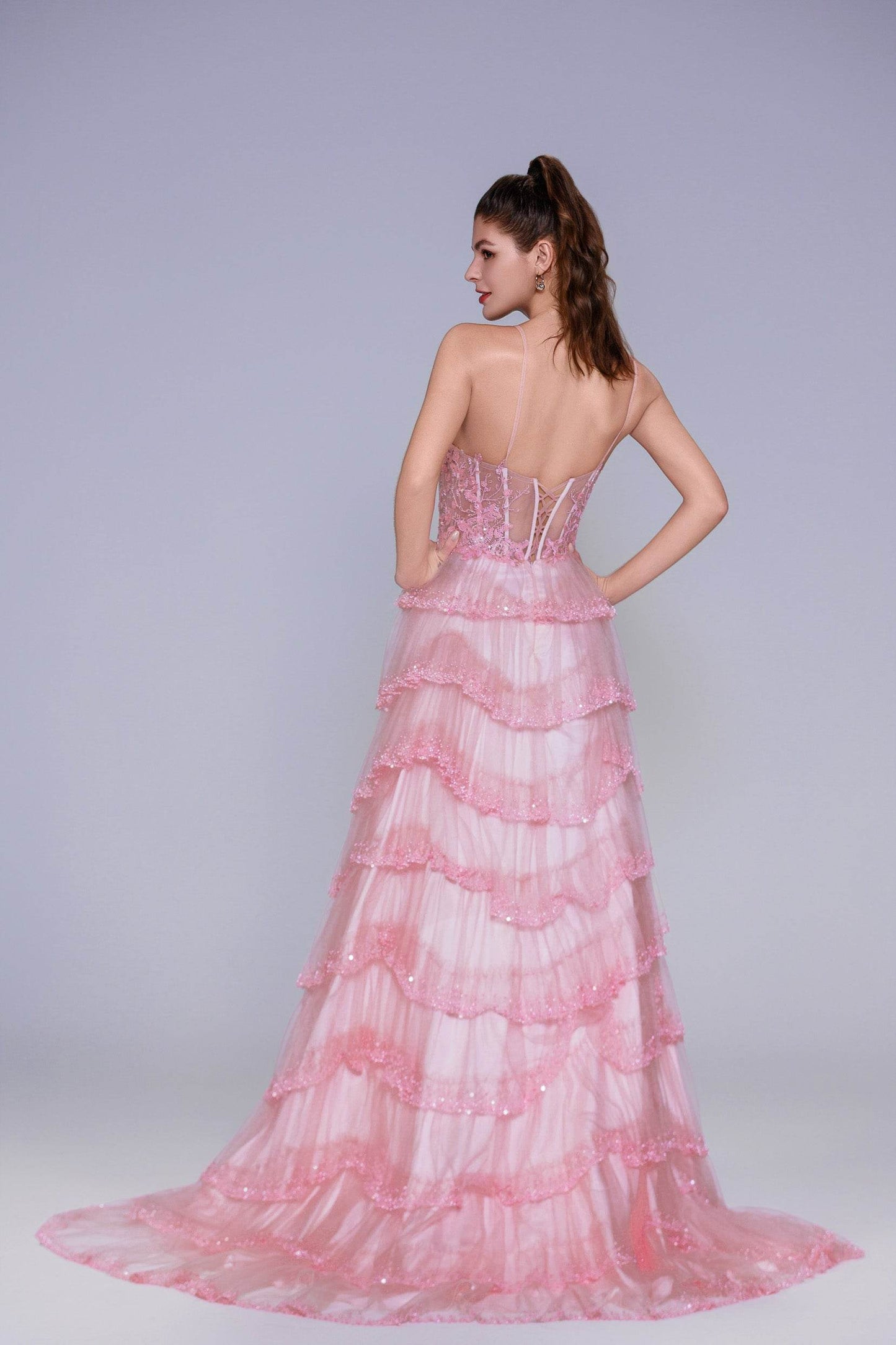 Ball Gown Sweep-Brush Train Tulle Prom Dress CS1048