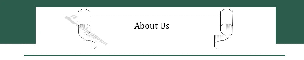 Sexy A-Line Backless Wedding Dress Customized Lace Applique Tulle Gowns