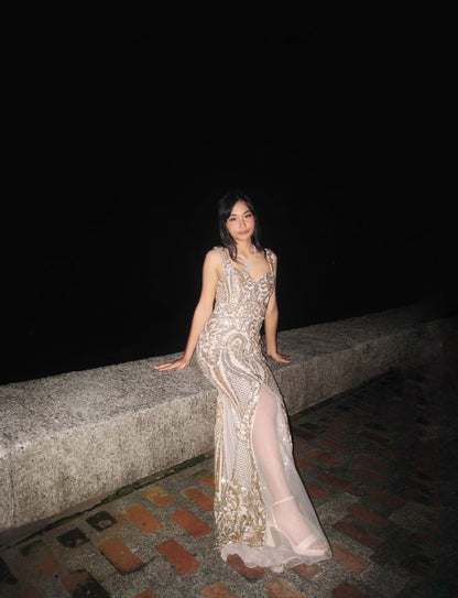 Elegant Mermaid V-neck Embroidered Sequin Long Prom Dress Evening Dress cc4986