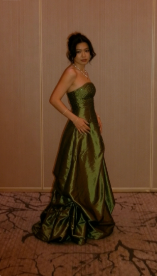Elegant Green A-line Rhinestone Embellished Satin Long Prom Dress Evening Dress cc5404