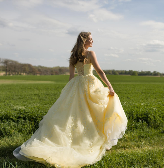Sweet Yellow A-line Tube Top Embroidered Tulle Long Prom Dress Evening Dress cc4766