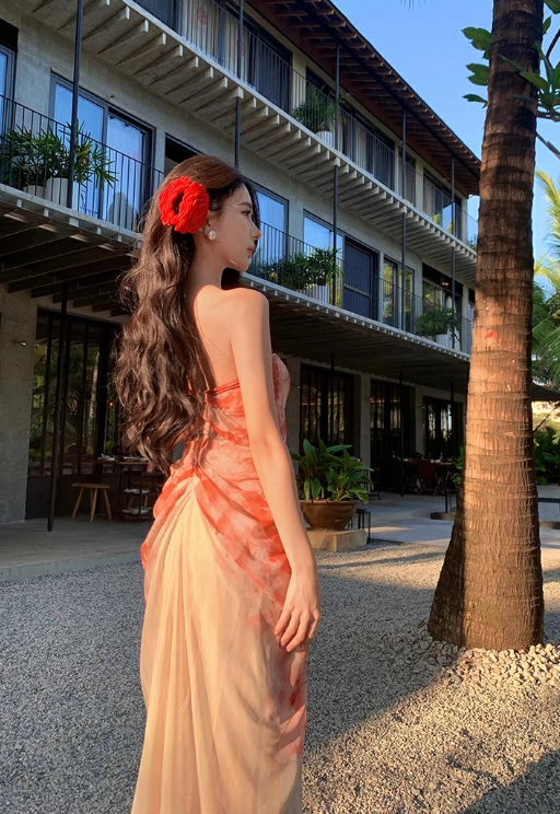 New Fashion Floral Print Design A-line Floor-length Sleeveless Strapless Dress HZ1024