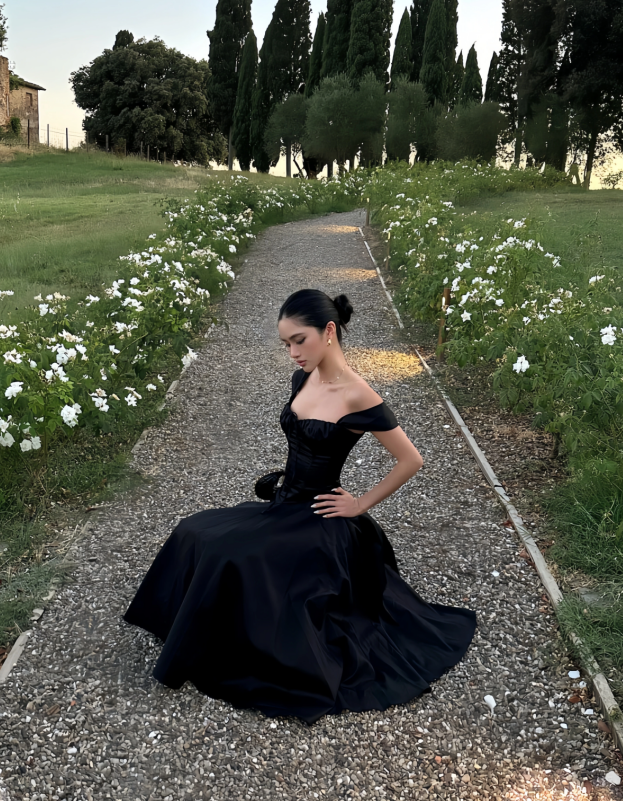 Chic Black A-Line Evening Gown Straps Party Dress Tea Length Formal Dress HZ1024