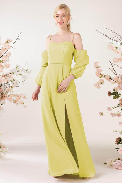 Trumpet Sweep-Brush Train Chiffon Bridesmaid Dress CB0459