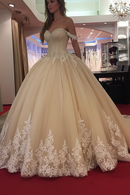 Off-the-Shoulder Princess Wedding Dress Applique Tulle Bridal Dresses Sleeveless