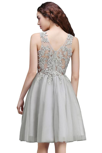 Chic Crew Neck Lace Tulle Short Homecoming Dress Sleeveless Appliques Mini Party Dress
