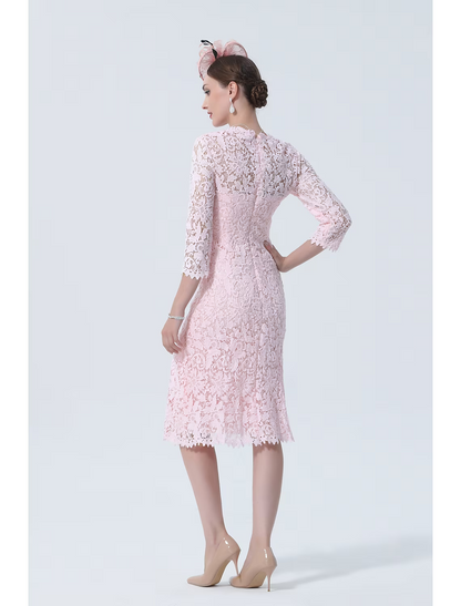 Mother of the Bride Dress Plus Size V Neck Knee Length Lace