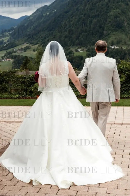 Plus Size Wedding Dress Tulle Lace Aline Bridal Dress V-neck with Appliques