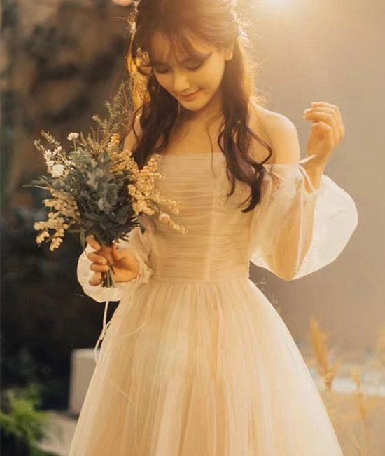 Champagne tulle long prom dress, champagne tulle evening dress  C1608