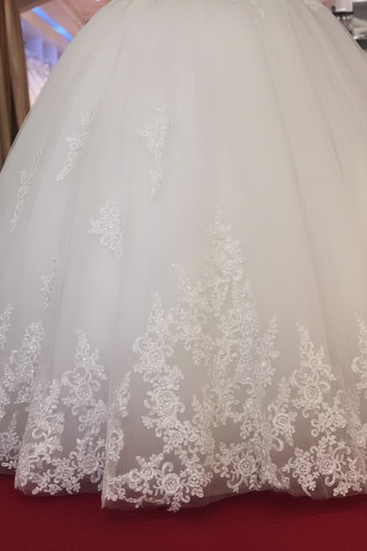 Off-the-Shoulder Princess Wedding Dress Applique Tulle Bridal Dresses Sleeveless